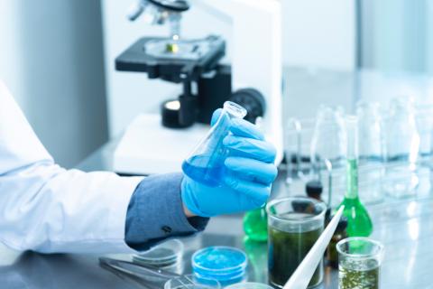 The Role of Honor Societies in Supporting STEM Education and Careers